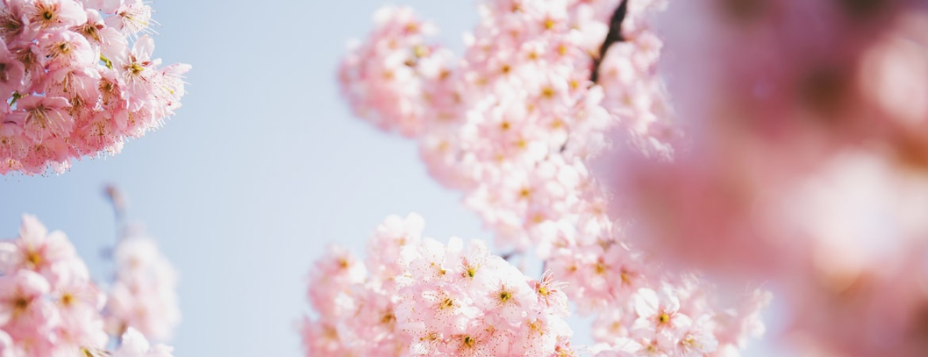 Spring in China: Fun Things to Do With Your Date
