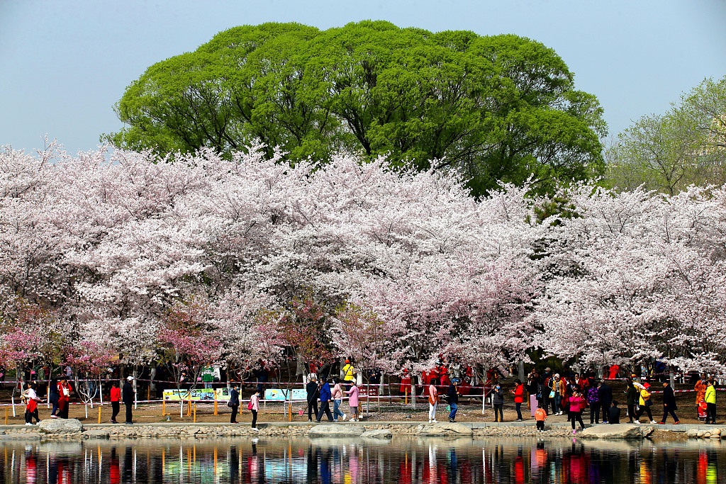 Spring in China