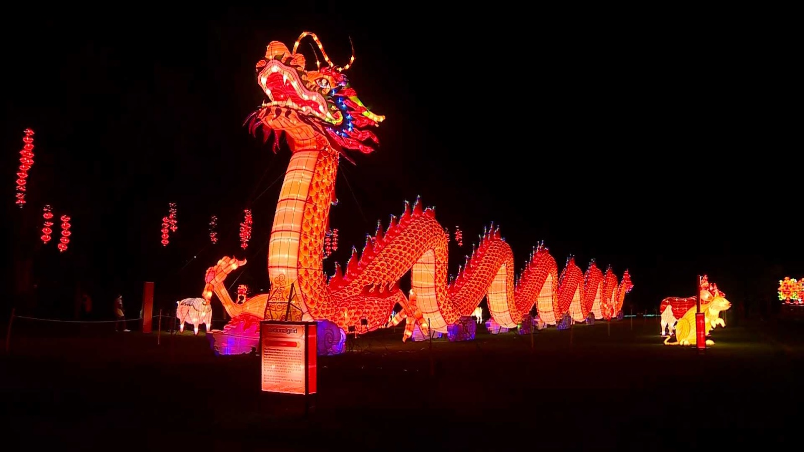Chinese New Year in America